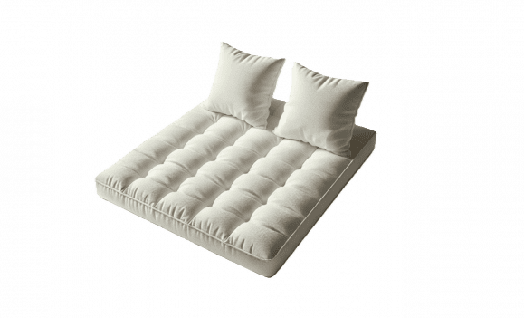 Futon 80x200 + 2 coussins 50x50